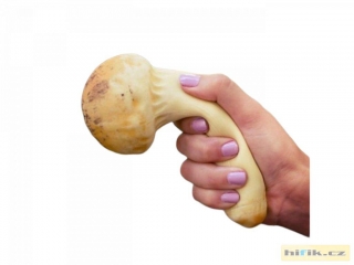 Antistresový hřib - Čirůvka větší